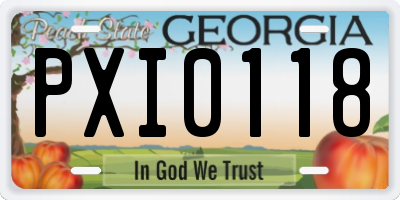 GA license plate PXI0118