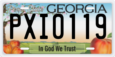 GA license plate PXI0119