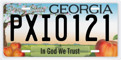 GA license plate PXI0121