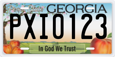 GA license plate PXI0123