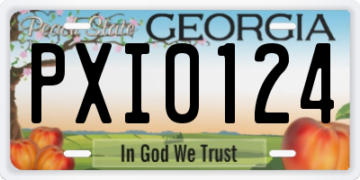GA license plate PXI0124