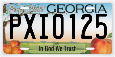 GA license plate PXI0125