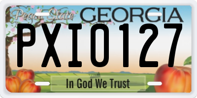 GA license plate PXI0127