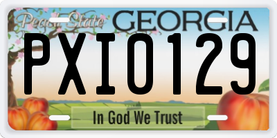 GA license plate PXI0129