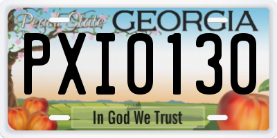 GA license plate PXI0130