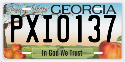 GA license plate PXI0137
