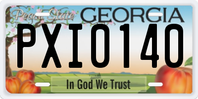 GA license plate PXI0140