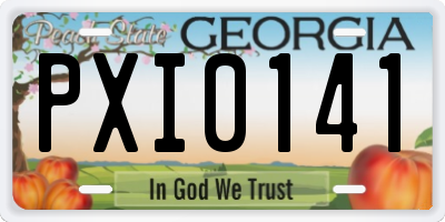 GA license plate PXI0141