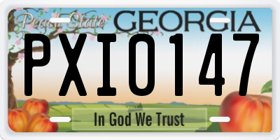 GA license plate PXI0147