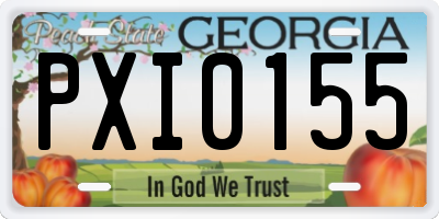 GA license plate PXI0155