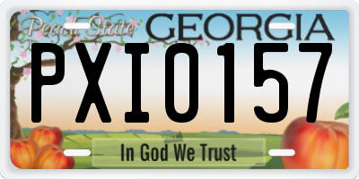 GA license plate PXI0157