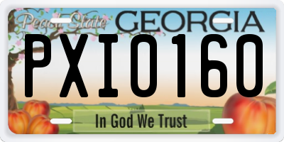 GA license plate PXI0160
