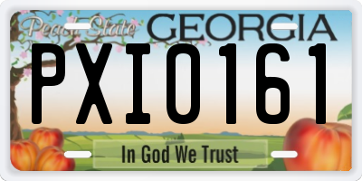 GA license plate PXI0161
