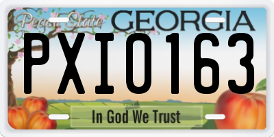 GA license plate PXI0163