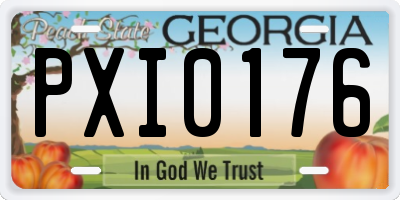 GA license plate PXI0176
