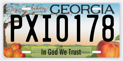 GA license plate PXI0178