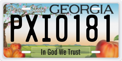 GA license plate PXI0181