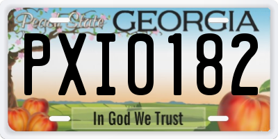GA license plate PXI0182
