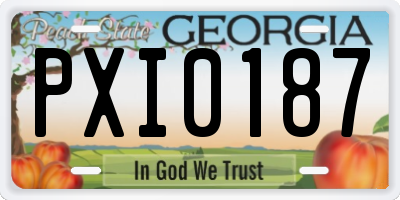 GA license plate PXI0187