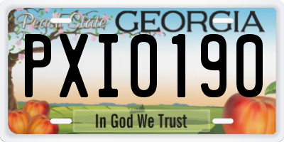 GA license plate PXI0190
