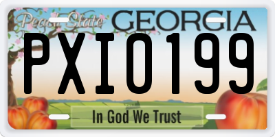 GA license plate PXI0199
