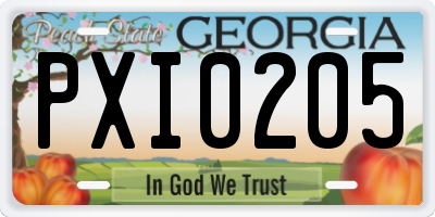 GA license plate PXI0205
