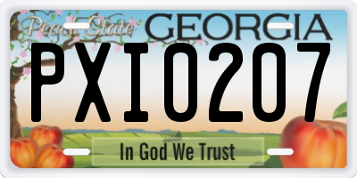 GA license plate PXI0207