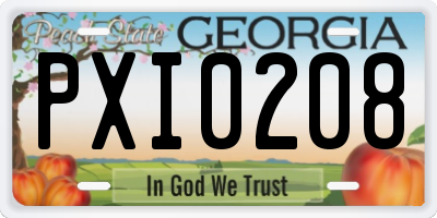 GA license plate PXI0208