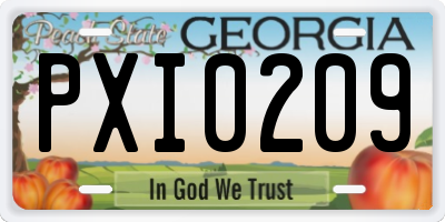 GA license plate PXI0209