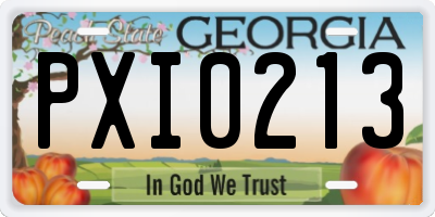 GA license plate PXI0213