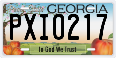 GA license plate PXI0217