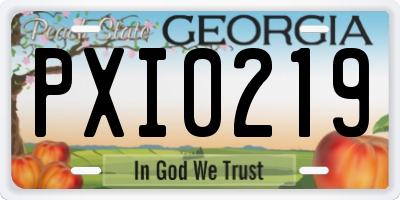 GA license plate PXI0219