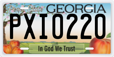 GA license plate PXI0220