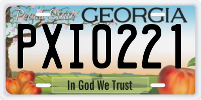 GA license plate PXI0221