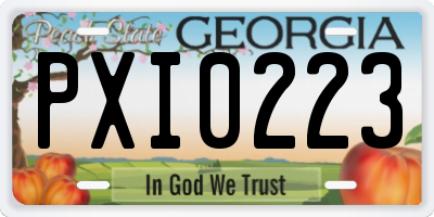 GA license plate PXI0223