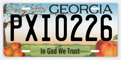 GA license plate PXI0226
