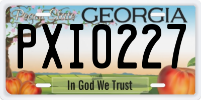 GA license plate PXI0227
