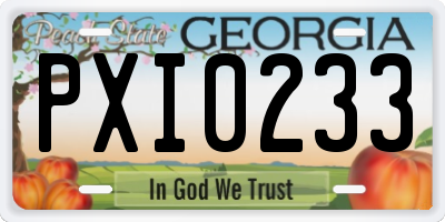 GA license plate PXI0233