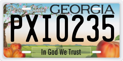 GA license plate PXI0235