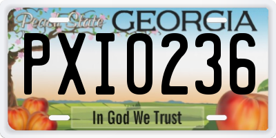 GA license plate PXI0236