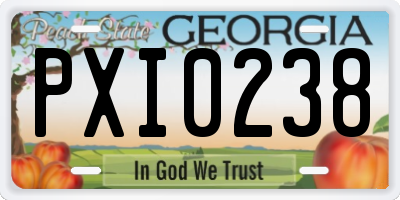 GA license plate PXI0238