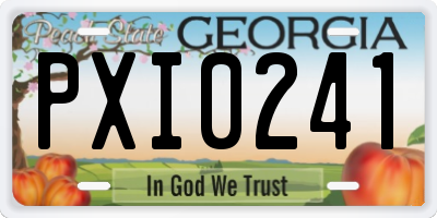 GA license plate PXI0241