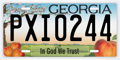 GA license plate PXI0244