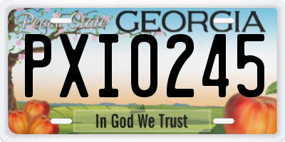 GA license plate PXI0245