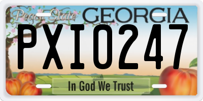 GA license plate PXI0247