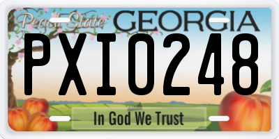 GA license plate PXI0248