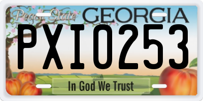 GA license plate PXI0253