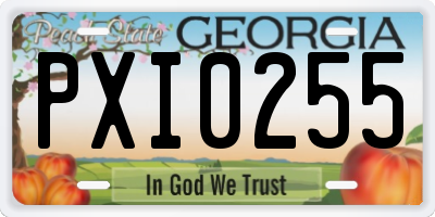 GA license plate PXI0255