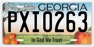 GA license plate PXI0263