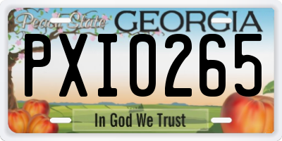 GA license plate PXI0265
